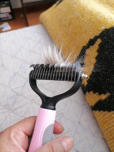 Pet Dog Cat Hair Removal Comb Brush Grooming Tool