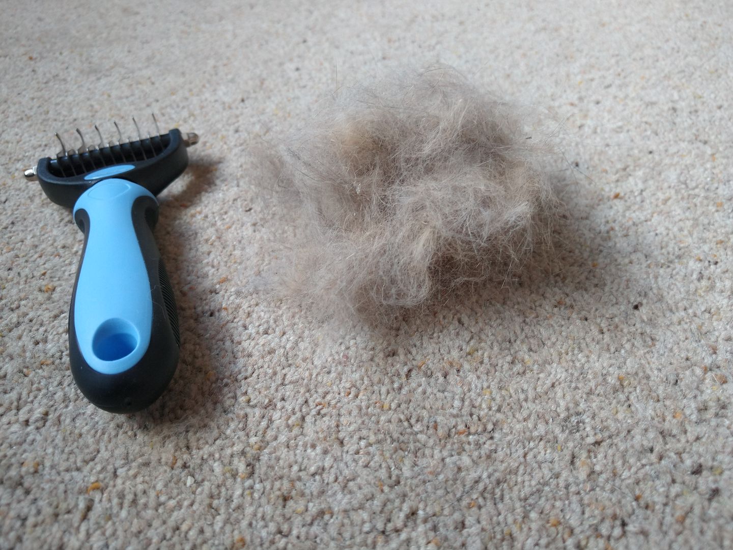 Nicola H. review of Pet Pro Grooming Tool